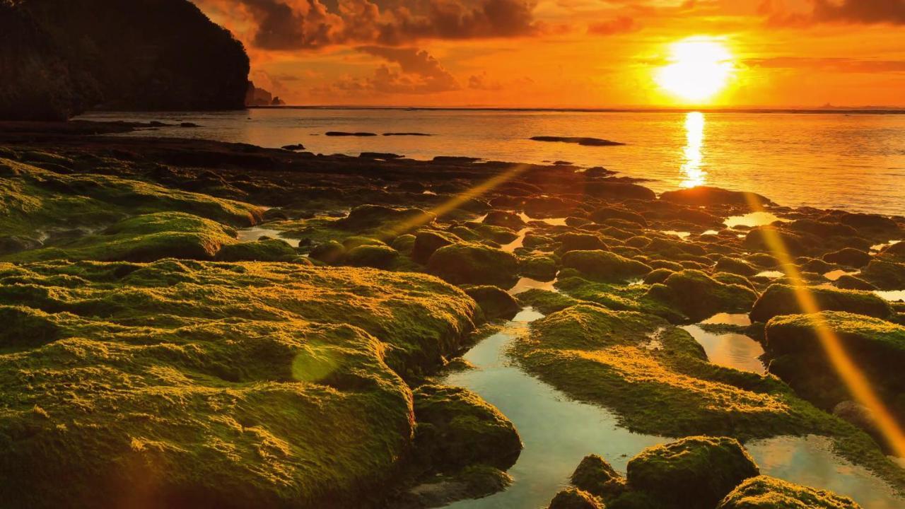 Bale Bingin Beachfront Stay Uluwatu Zewnętrze zdjęcie